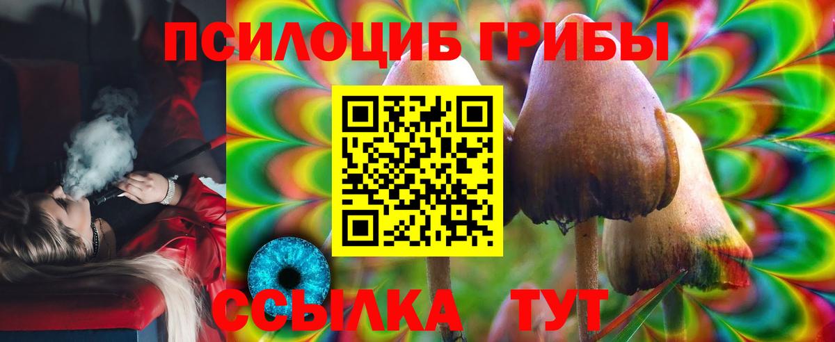 купить  сайты  Псилоцибиновые грибы Psilocybine cubensis  Вход с VPN  Ярославль 